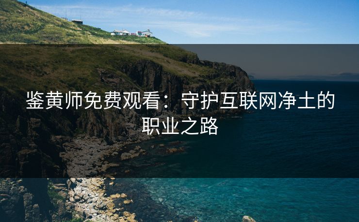鉴黄师免费观看：守护互联网净土的职业之路